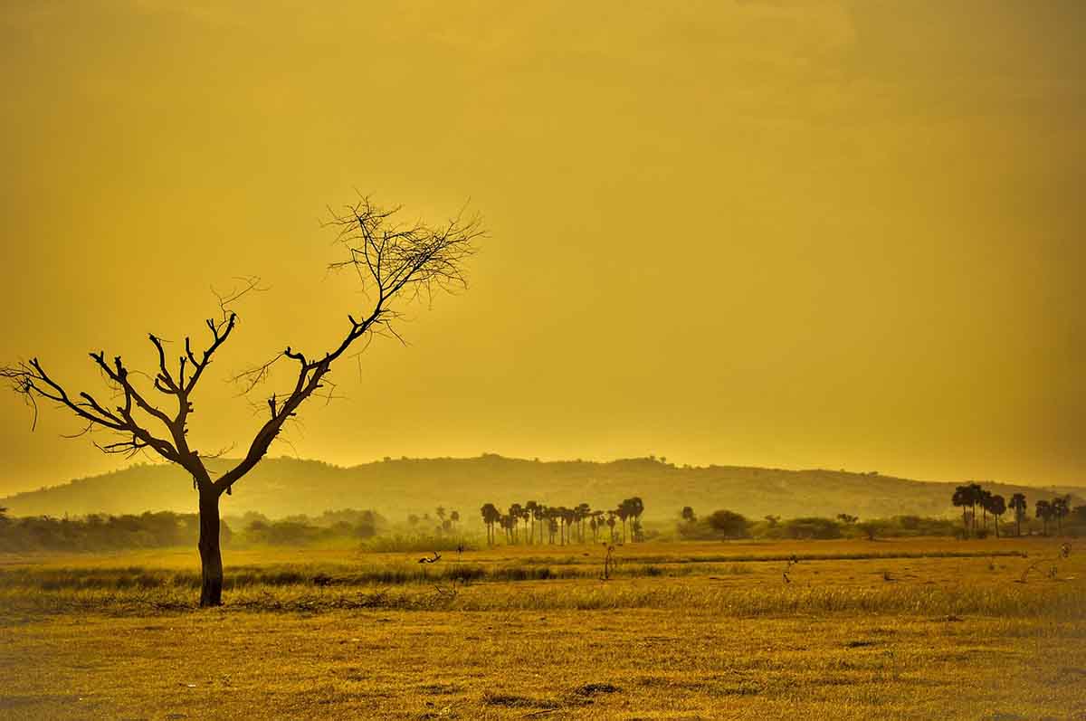 Una imagen de sequía y cómo puede afectar el cambio climático al medio ambiente / Foto: Pixabay