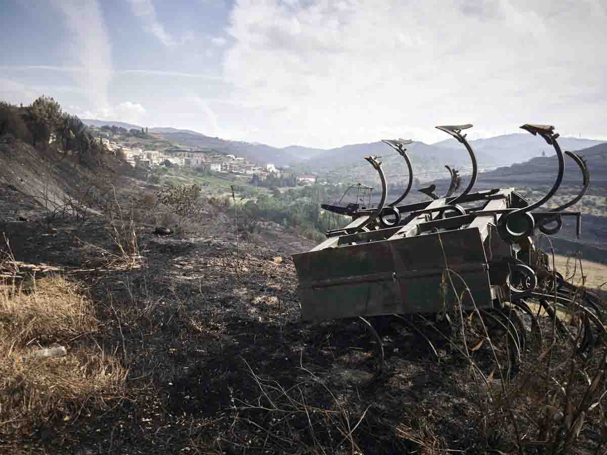 Hectáreas afectadas por el fuego de San Martín de Unx, a 21 de junio de 2022, en San Martín de Unx, Navarra (España) / Foto: EP