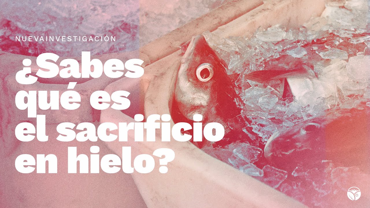 ¿De dónde viene el pescado destinado al consumo?