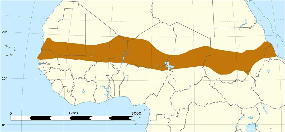 El Sahel atraviesa una grave situación debido al cambio climático y los conflictos armados / Imagen: Wikipedia