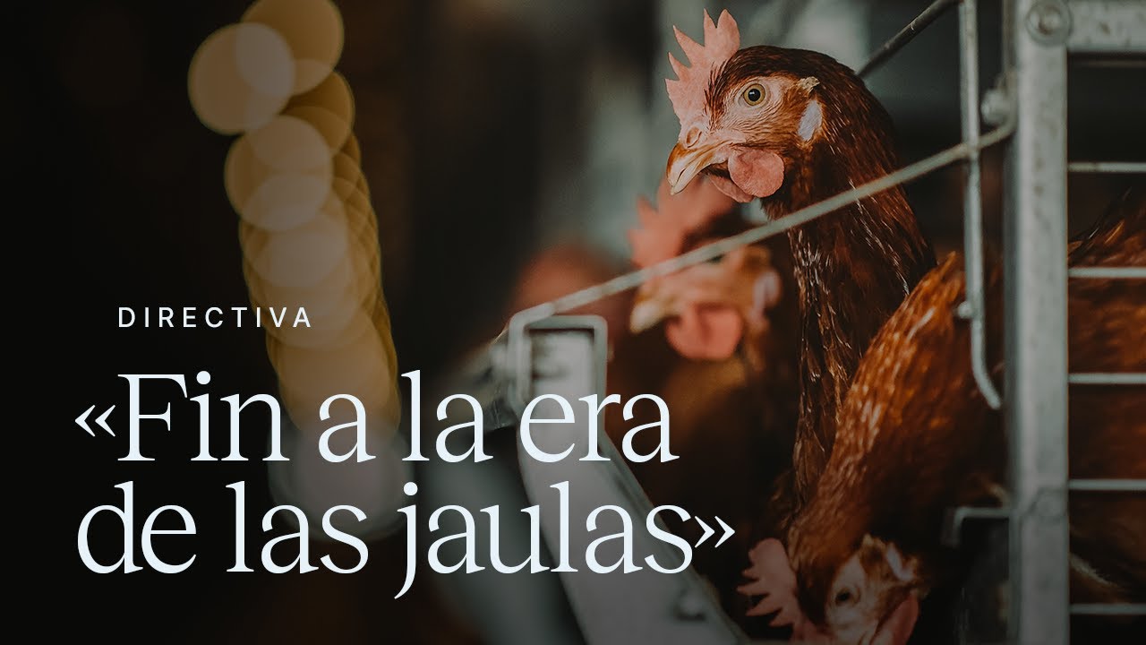 Fin a la era de las jaulas