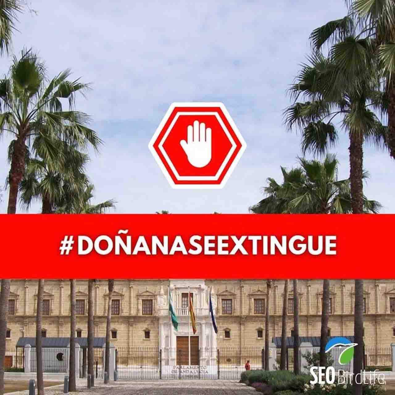 Imagen de la campaña de firmas de SEO/BirdLife contra la PDL de regadíos de la Corona Norte de Doñana / Imagen: SEO/BirdLife
