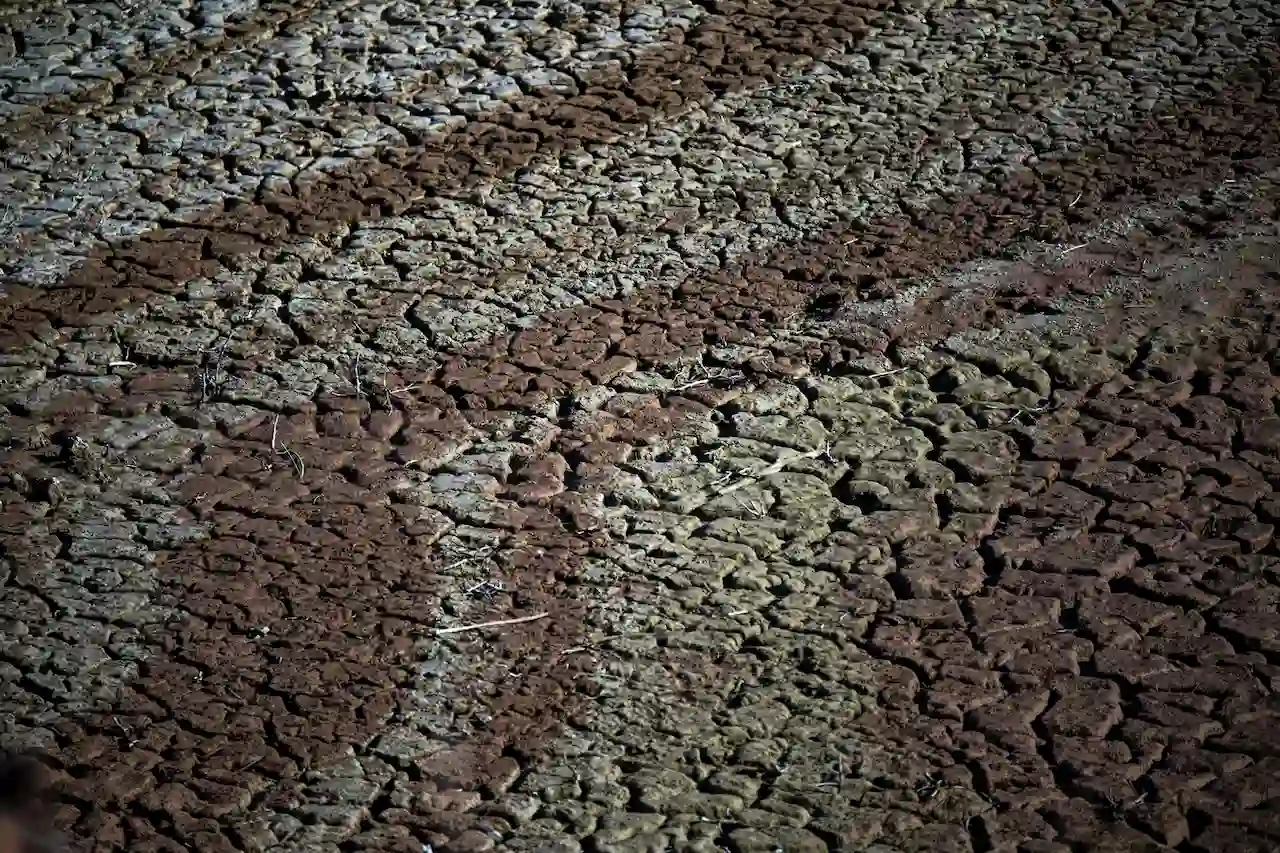 Emergencia por sequía. El pantano de Sau, a 20 de noviembre de 2023, en Vilanova de Sau, Cataluña / Foto: EP