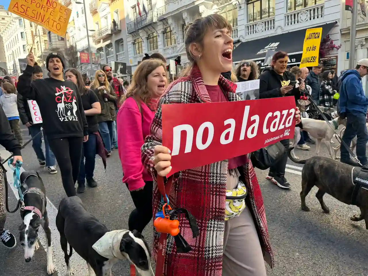 Manifestaciones en España contra la caza / Foto: NAC