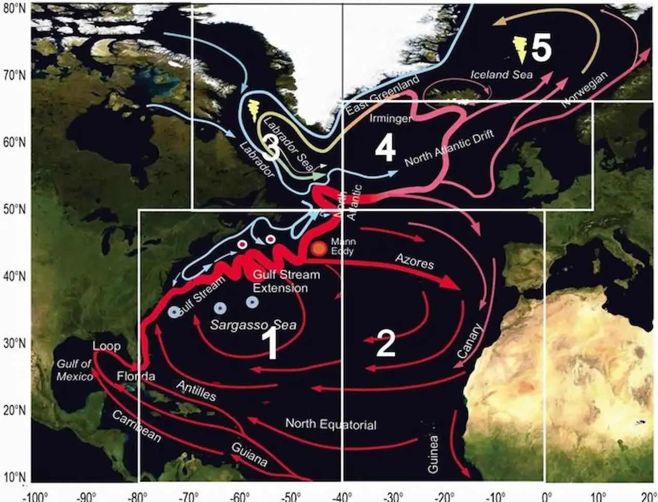 Cada vez menos nutrientes en el Atlántico Norte. Un esquema de la circulación de la capa superior del Océano Atlántico Norte / Imagen: Frontiers in Marine Science