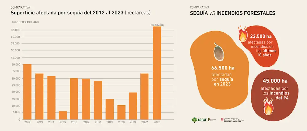 La campaña de 2023 presenta, de lejos, el récord de bosques afectados por sequía en Cataluña registrados desde que se inició el seguimiento del Deboscat, en 2012. Fuente: Deboscat