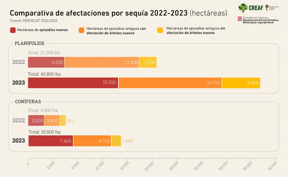 Comparativa de afectaciones por sequía entre los años 2022 y 2023 en relación a la especie. Fuente: Deboscat