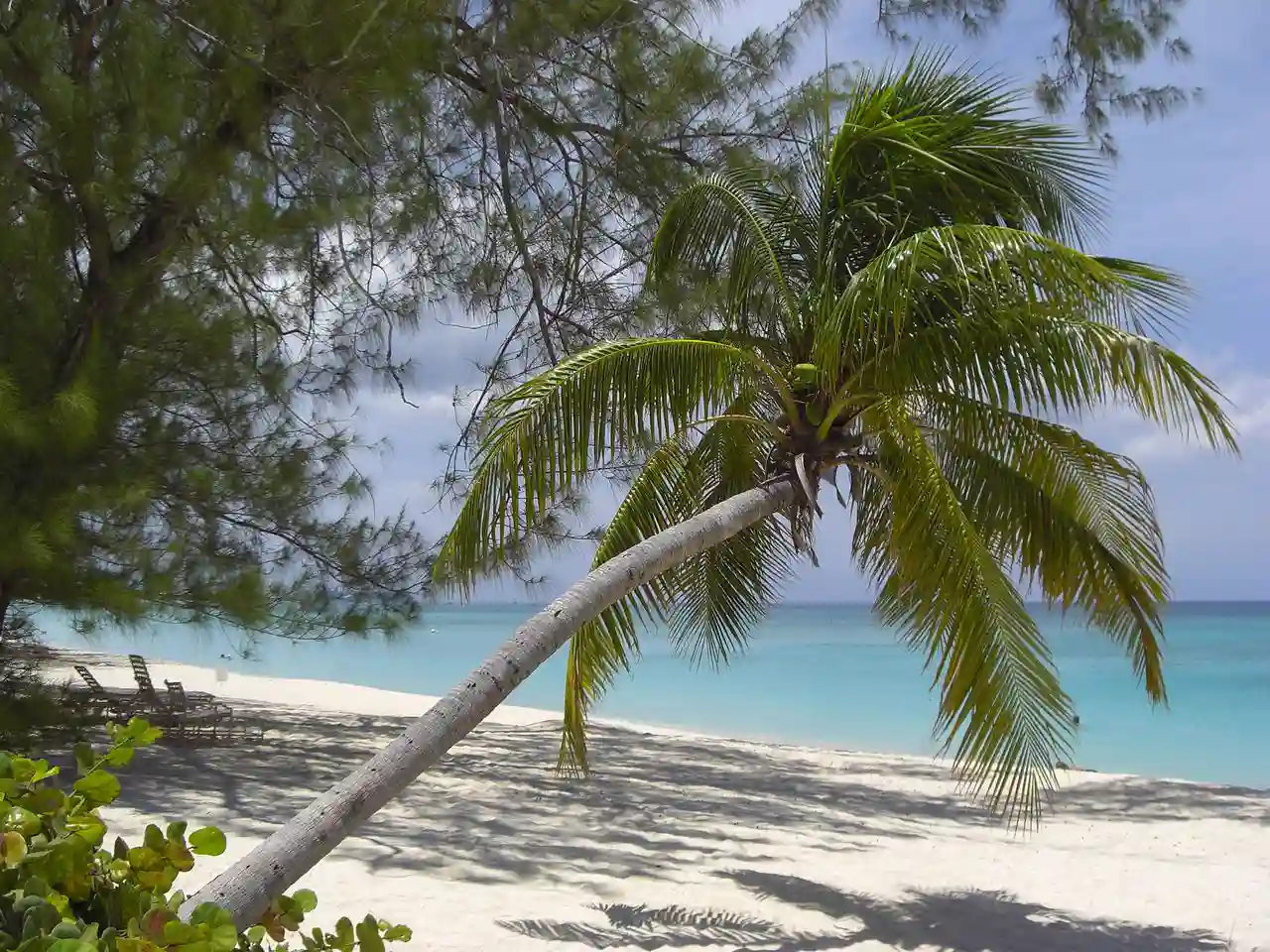 Emergencia climática en Latinoamérica y el Caribe. Playa de Gran Caimán, Islas Caimán / Foto:  Wikimedia Commons