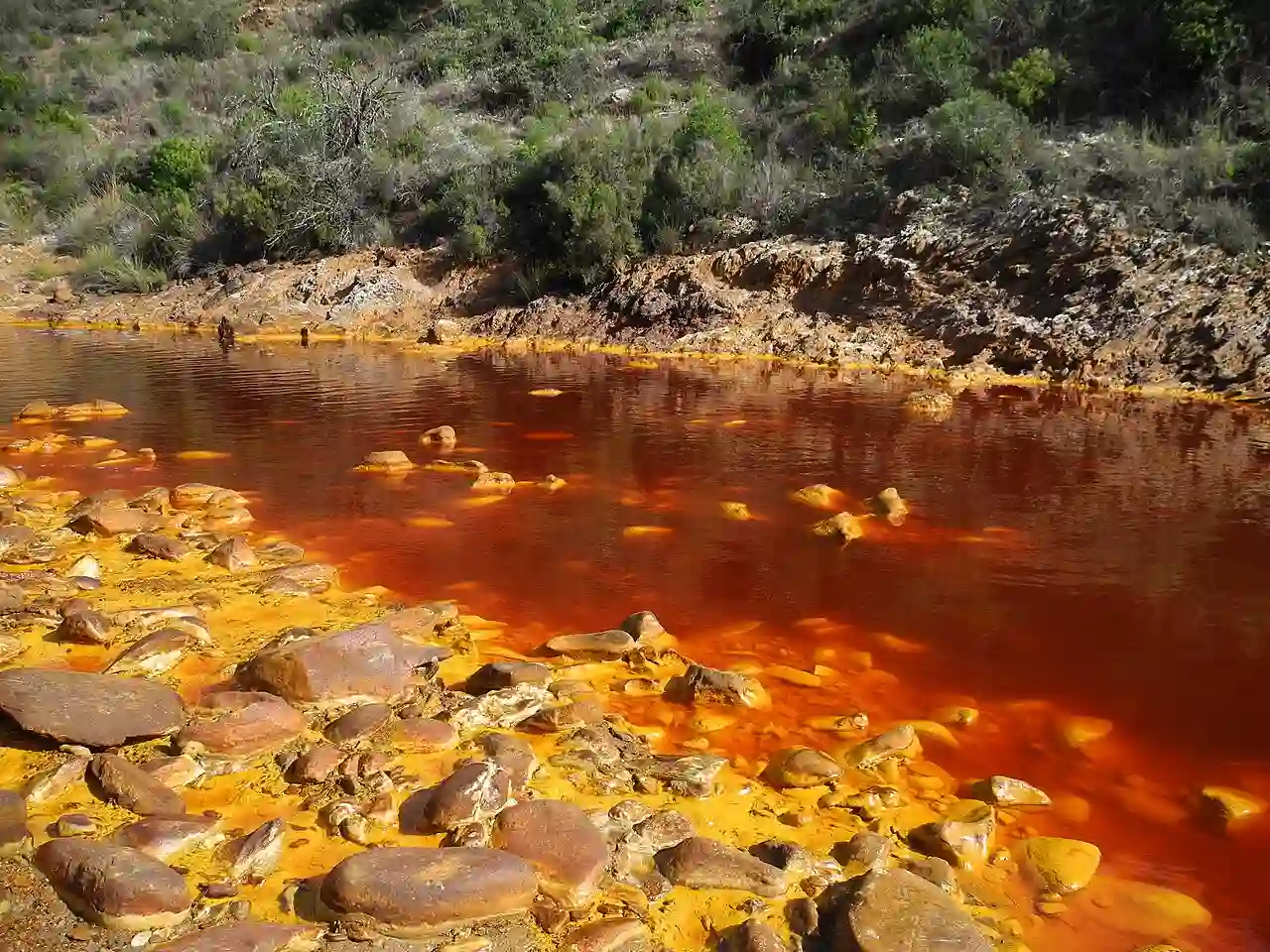 Una nueva microalga identificada en el nacimiento del Río Tinto / Foto: Wikimedia Commons