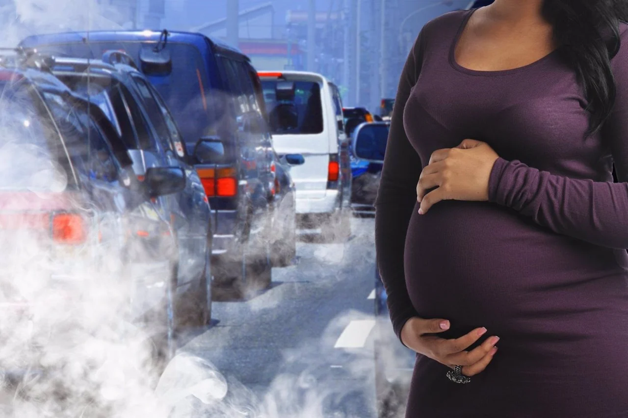 La exposición a la contaminación es muy grave para las mujeres embarazadas / Foto: NIEHS