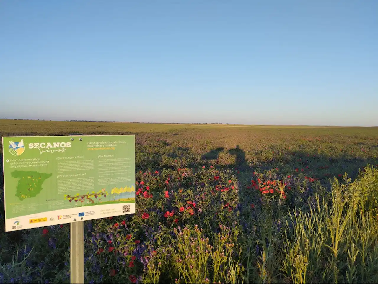 Presentación de proyectos del proyecto 'Secanos Vivos', en Aragón / Foto: SEO/BirdLife