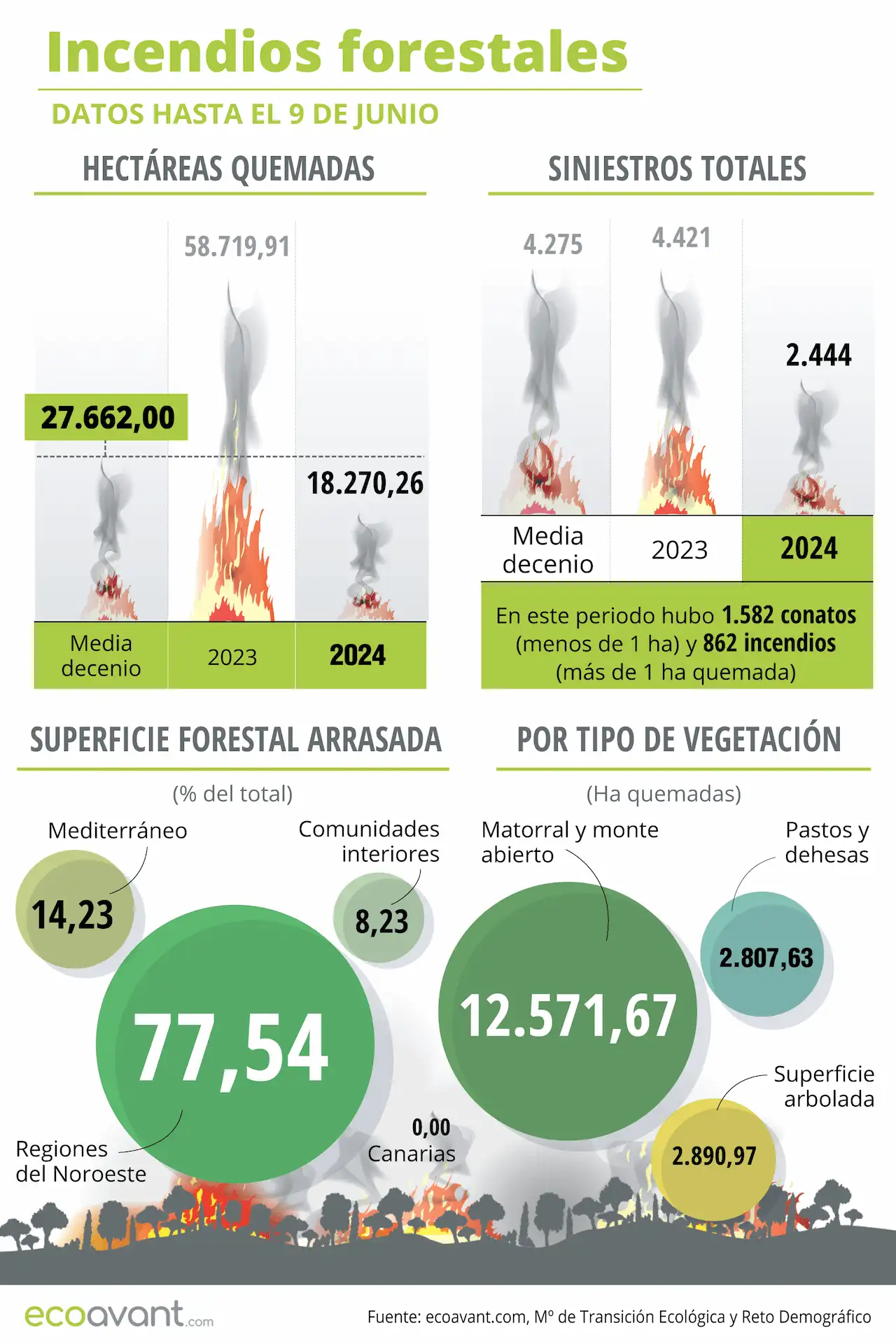 Incendios forestales en España en datos hasta el 9 de junio de 2024 / Infografía: EA