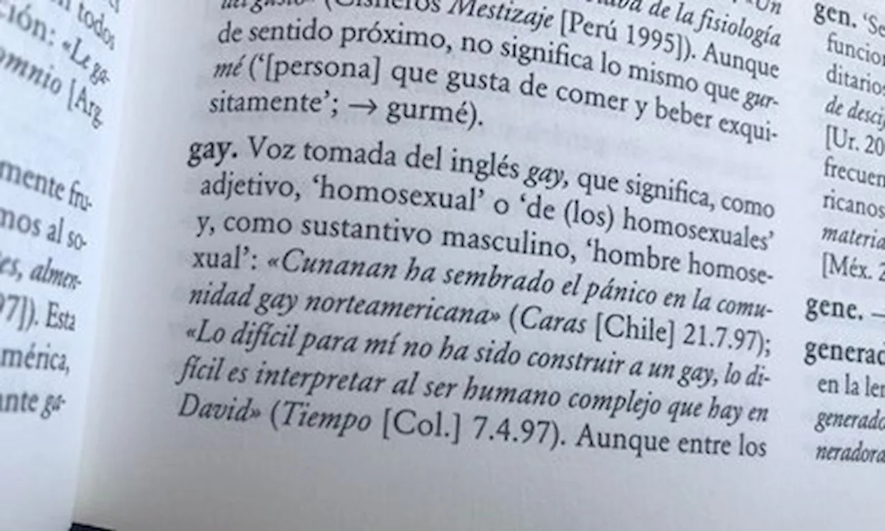 La palabra ‘gay’ según el Diccionario de la Real Academia Española / Imagen: The Conversation