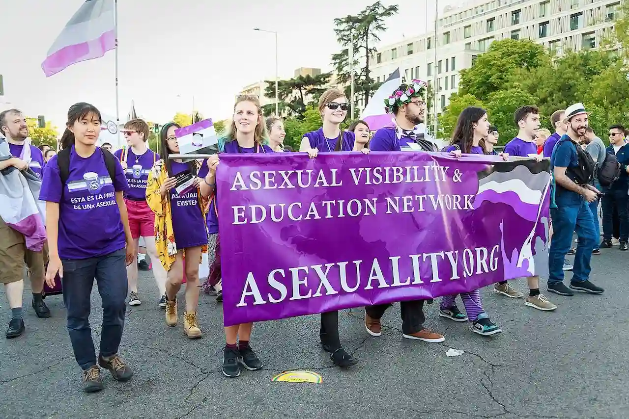 Reivindicaciones del colectivo asexual. Un libro blanco para visibilizar la asexualidad / Foto: Barcex