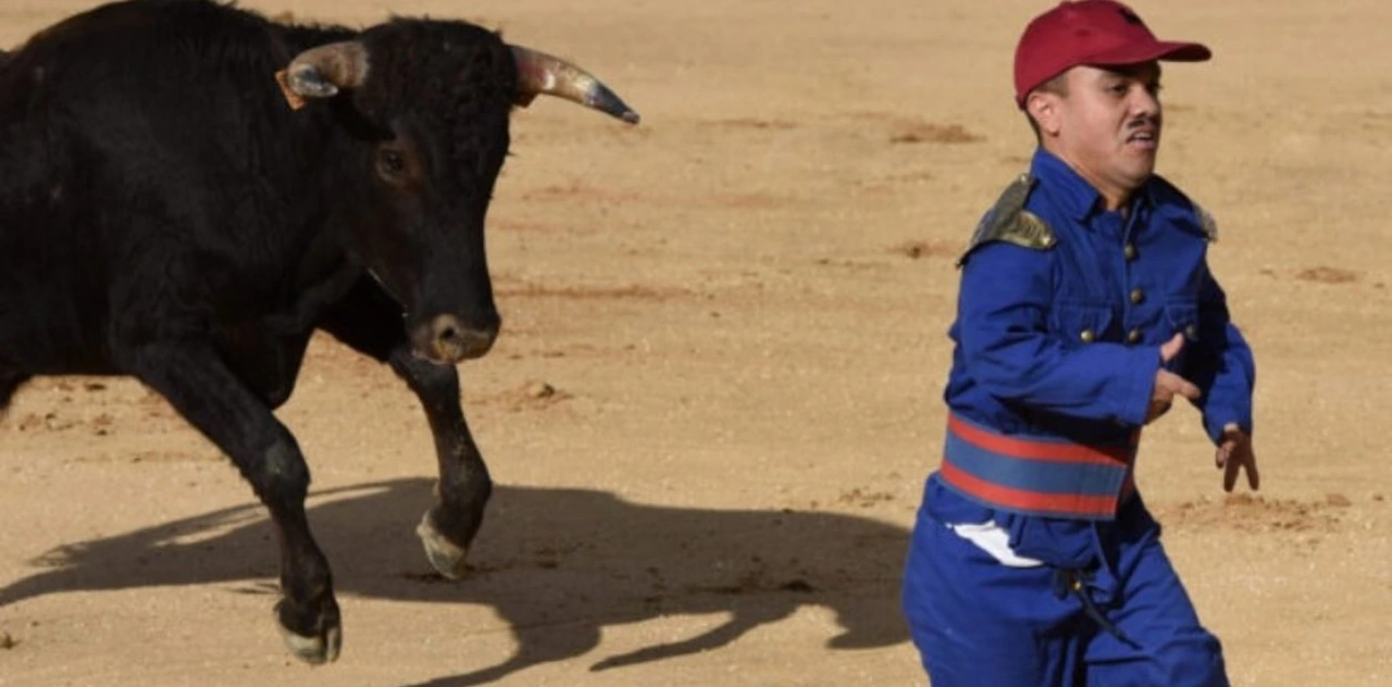 El Gobierno de Aragón no puede negar la autorización al espectáculo 'Popeye torero' / Foto: EP