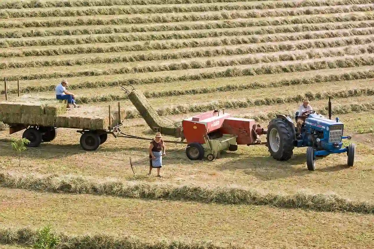 El 25% de los trabajadores y trabajadoras están muy expuestos al riesgo de calor en España / Foto: PB