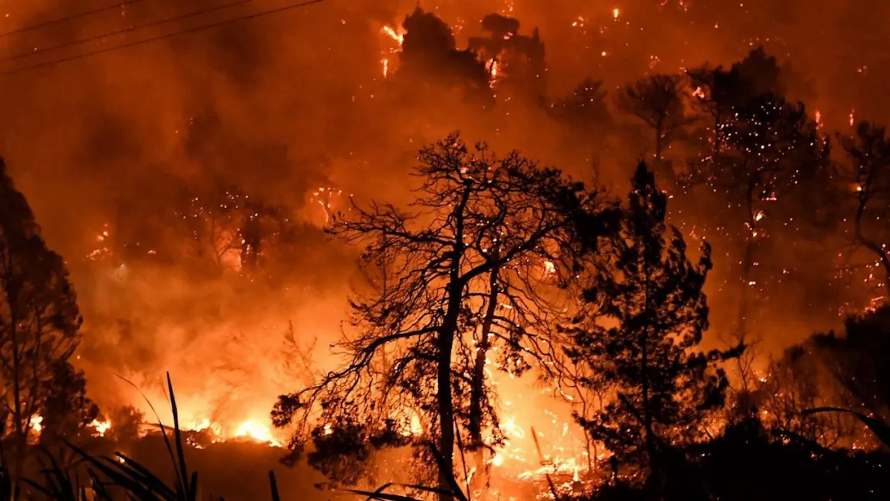 El humo de los grandes incendios forestales altera la capa de ozono / Foto: EP