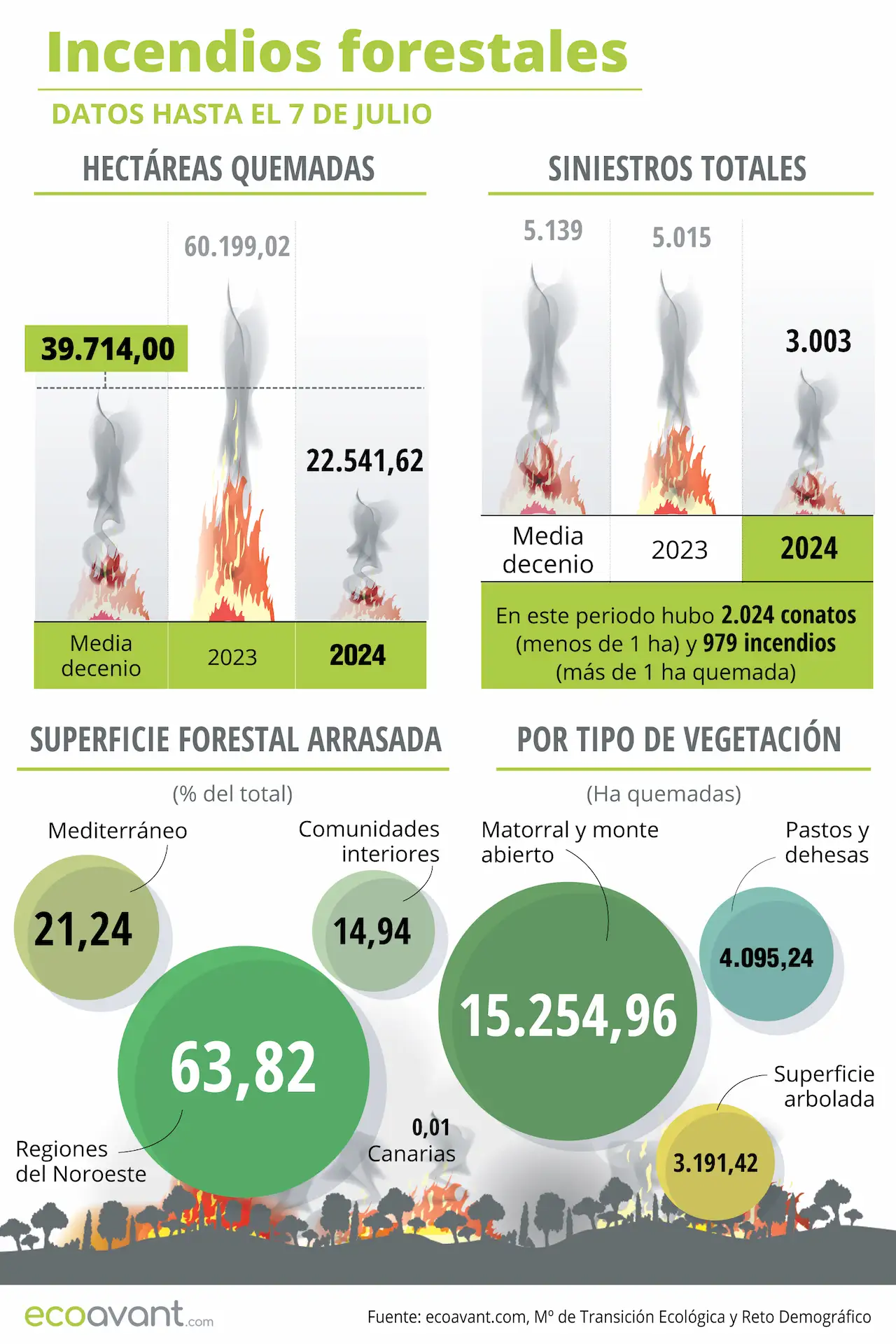 Incendios forestales en España en datos hasta el 7 de julio de 2024 / Infografía: EA