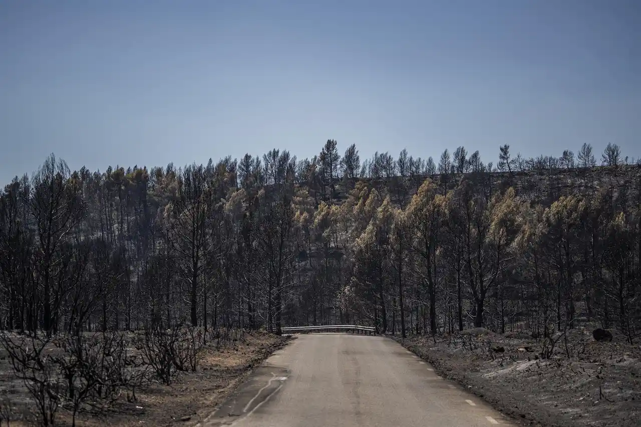 Incendios siempre ha habido y los habrá. Un experto del CSIC apuesta por permitir incendios pequeño / Foto: EP