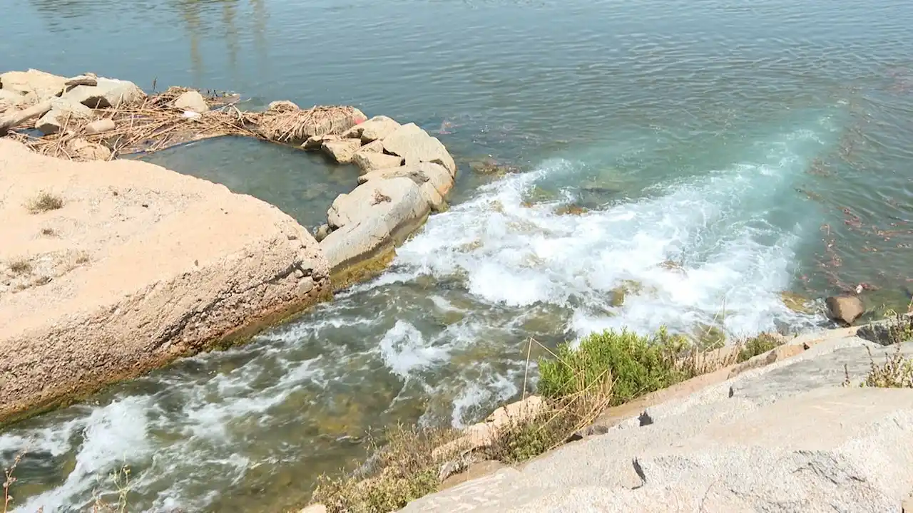 Cierran el Parc Fluvial del Besòs por el vertido tóxico. Prohibido el baño en la playa del Fòrum / Foto: EP