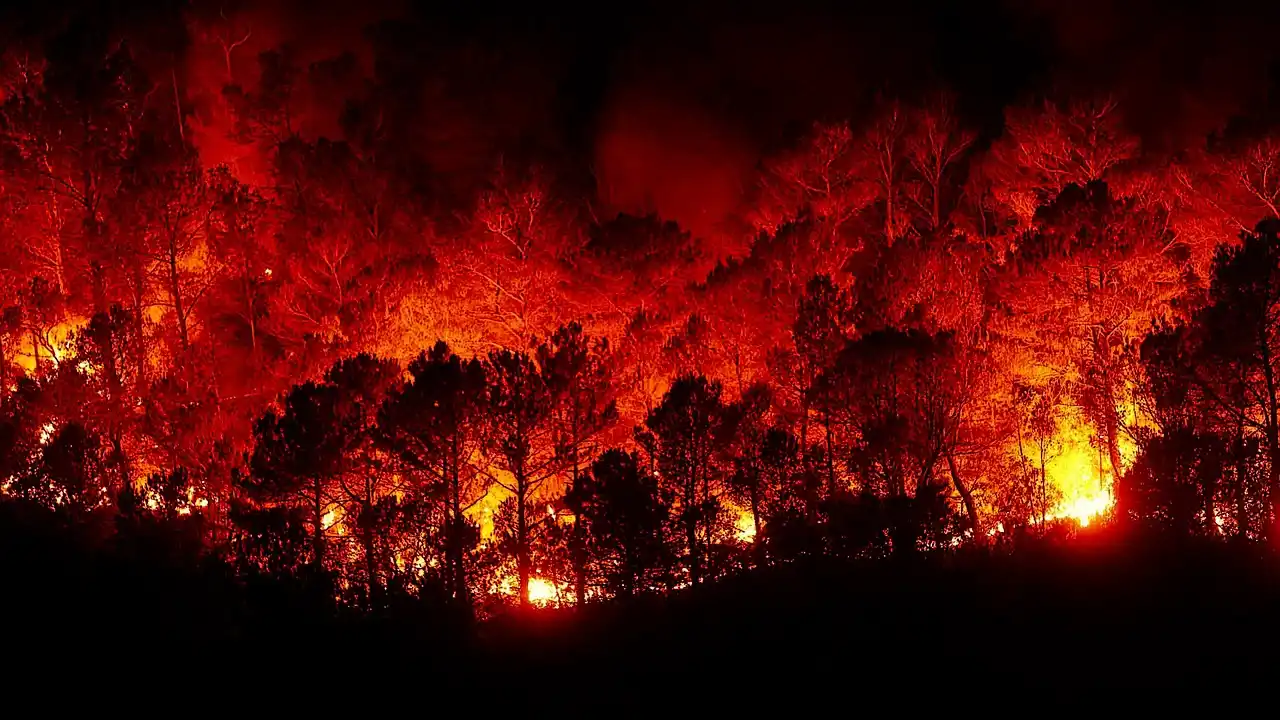 Las áreas protegidas no agravan los incendios / Foto: PB