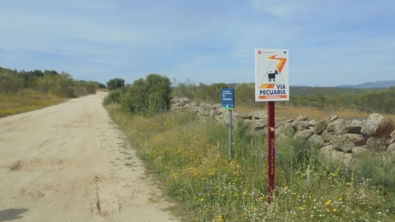 Cordel de la Espernada, una de las vías pecuarias que el Ayto. de Colmenarejo quiere asfaltar / Foto: Ecologistas en Acción