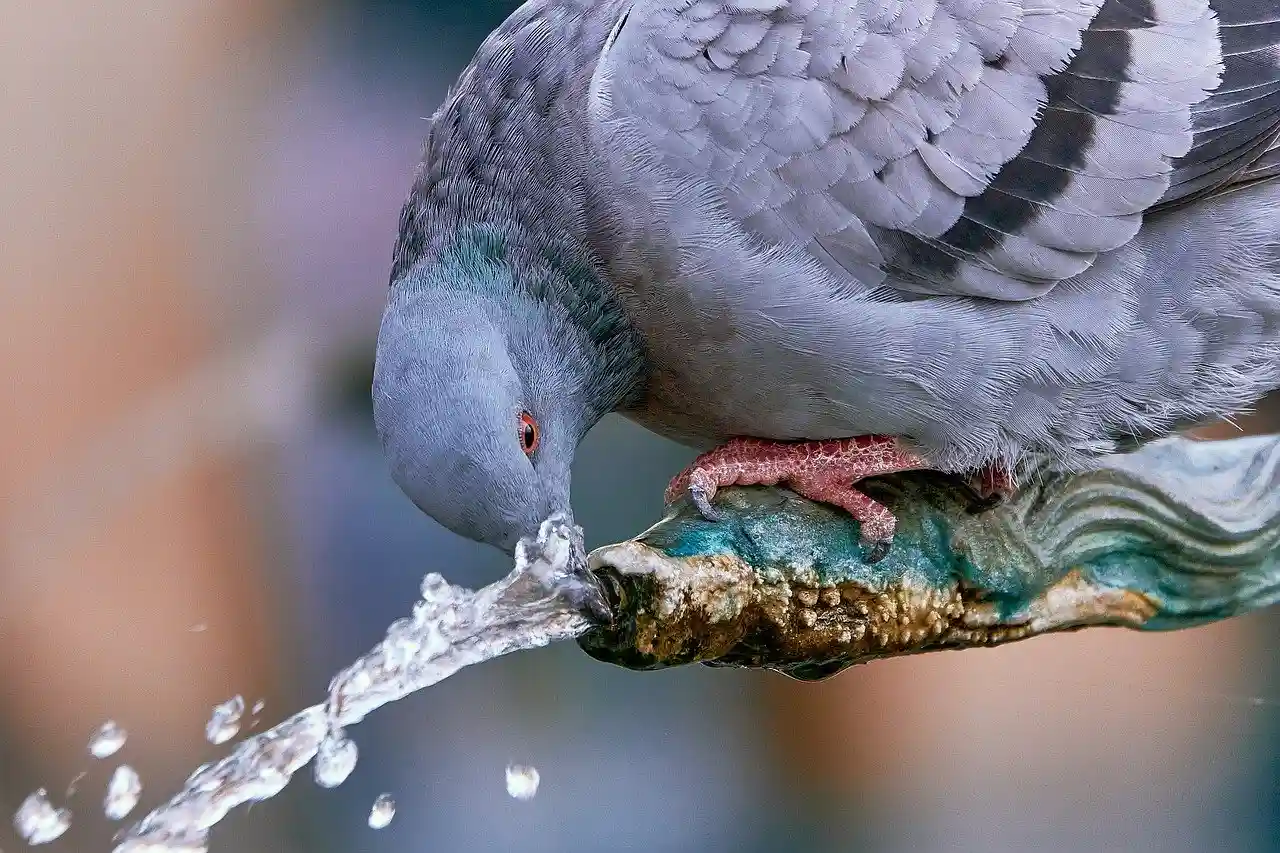 El consumo medio de agua fue en 2022 un 3,9% menos que en 2020 / Foto: PB