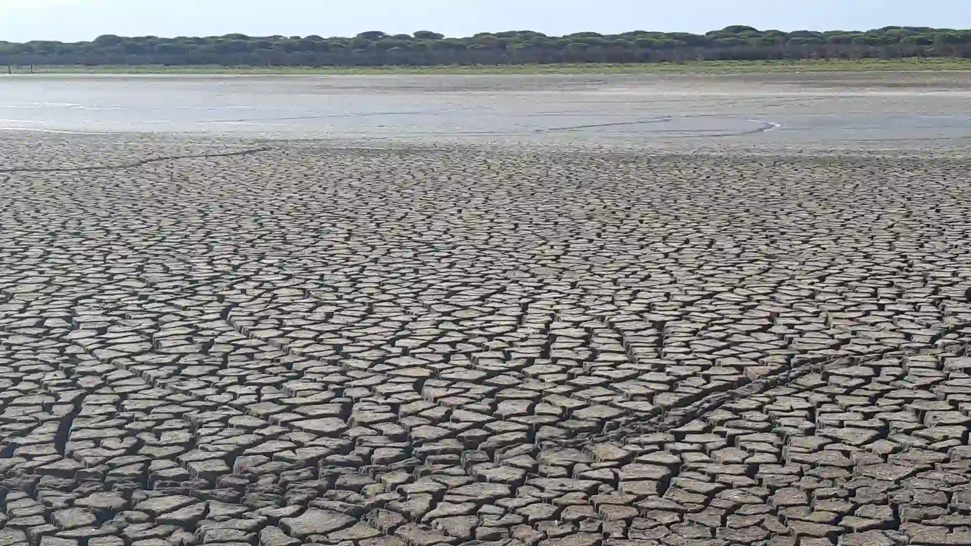 Los récords que no hay que cumplir. La laguna permanente de Santa Olalla, en Doñana / Foto: WWF