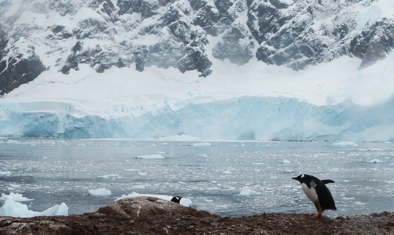 Los riesgos de vuelco climático por sobrepasar los 1,5 °C. Deshielo en la Antártida / Foto: PB