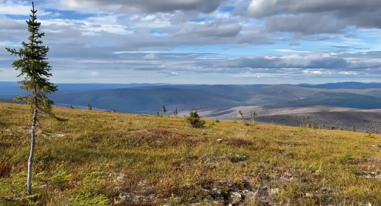 Paisaje en la cicatriz del incendio de Murphy Dome, en las afueras de Fairbanks, Alaska. Tundra  / Foto: NASA