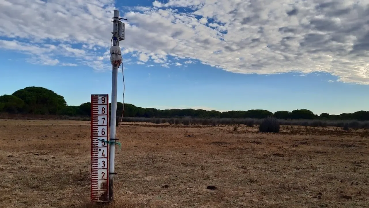 Las extracciones para Matalascañas han afectado al acuífero. Laguna Zahillo / Foto: WWF