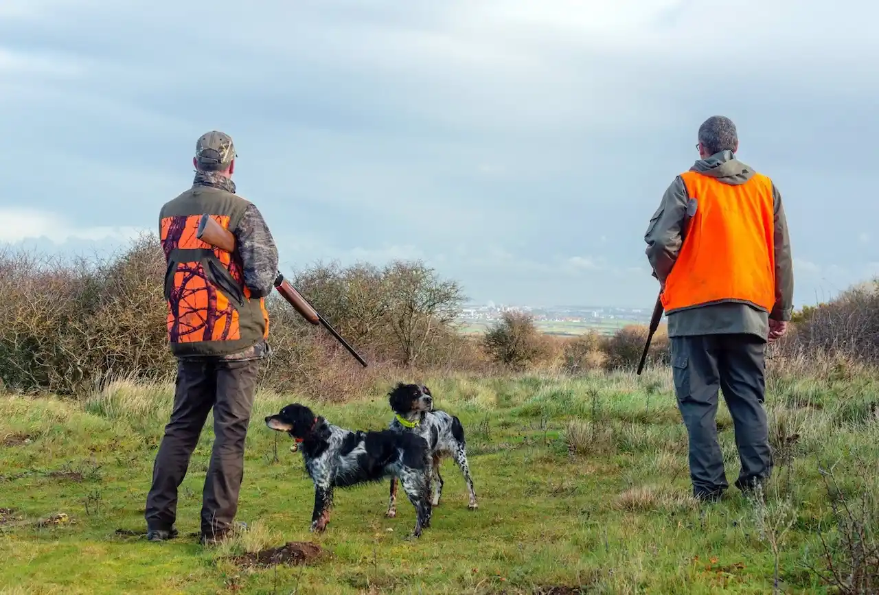 Dos cazadores junto a sus perros. La temporada de caza de media veda / Foto: EP