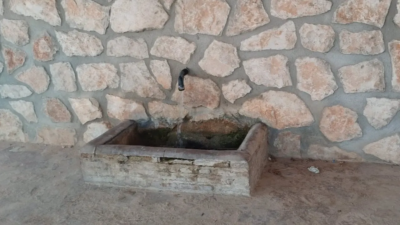 Las fuentes de Carboneras de Guadazaón superan los límites de nitratos / Foto: Pueblos Vivos Cuenca