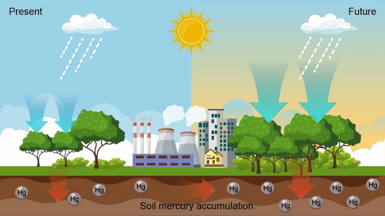 Incremento de la contaminación del suelo por mercurio / Imagen: ACS