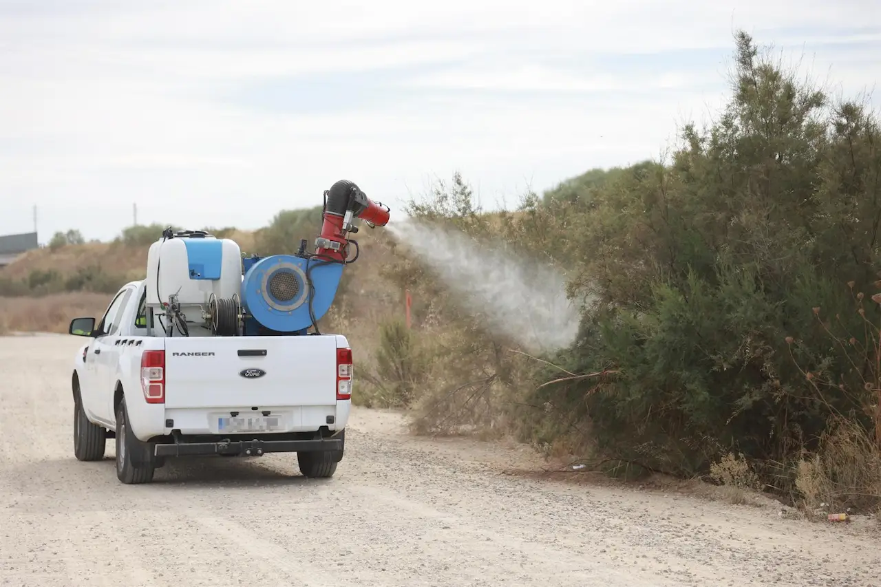 Tratamiento contra los mosquitos que propagan el Virus del Nilo Occidental. Ecologistas pide tratar con larvicida entornos inundados  / Foto: EP