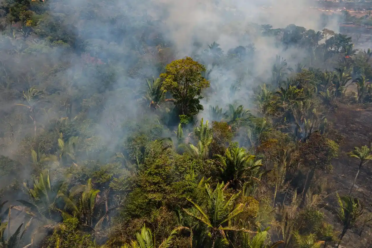 Defender los derechos humanos en la "crisis climática". Incendio en Porto Velho (Brasil) / Foto: Fernando Souza - ZUMA Press Wire