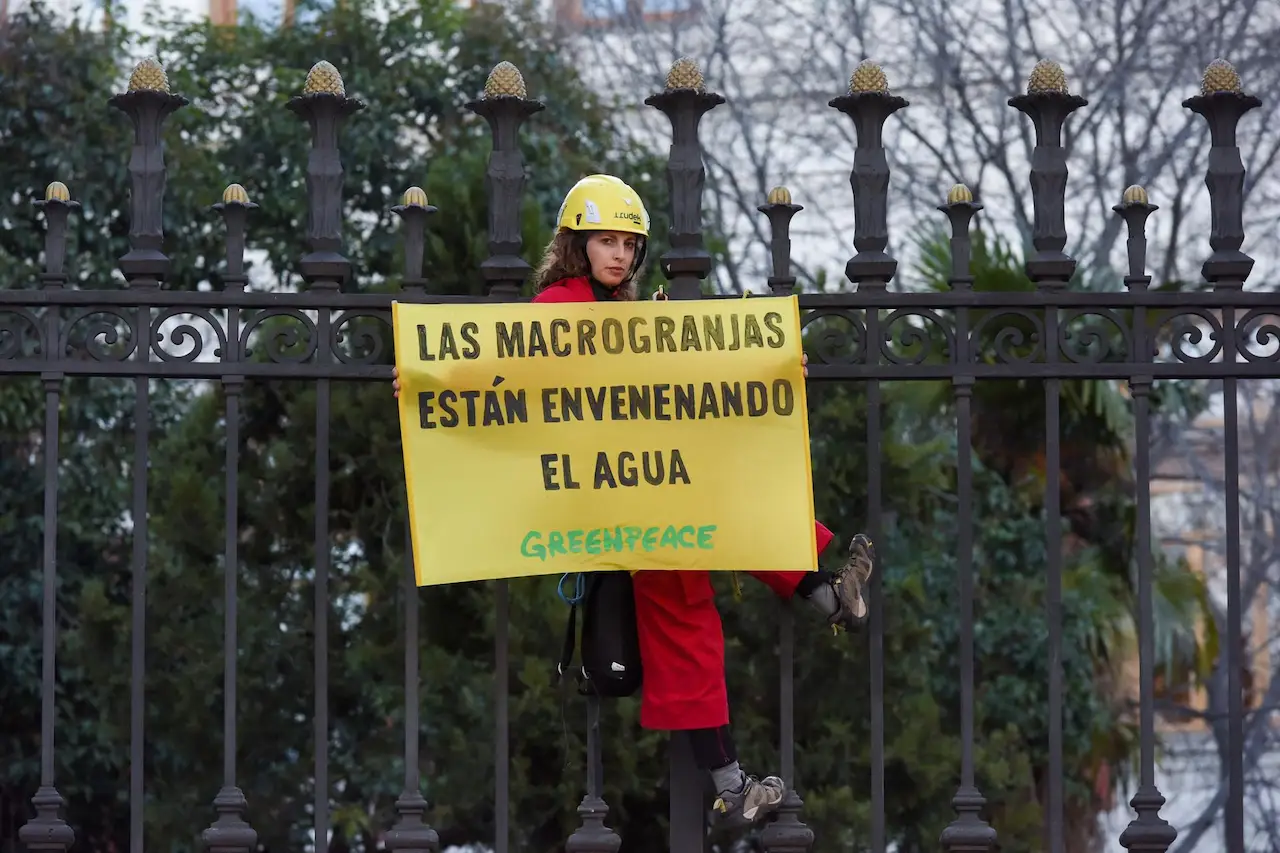 El proyecto más contaminante de España. Activista de Greenpeace con un cartel contra la instalación de macrogranjas / Foto: Greenpeace