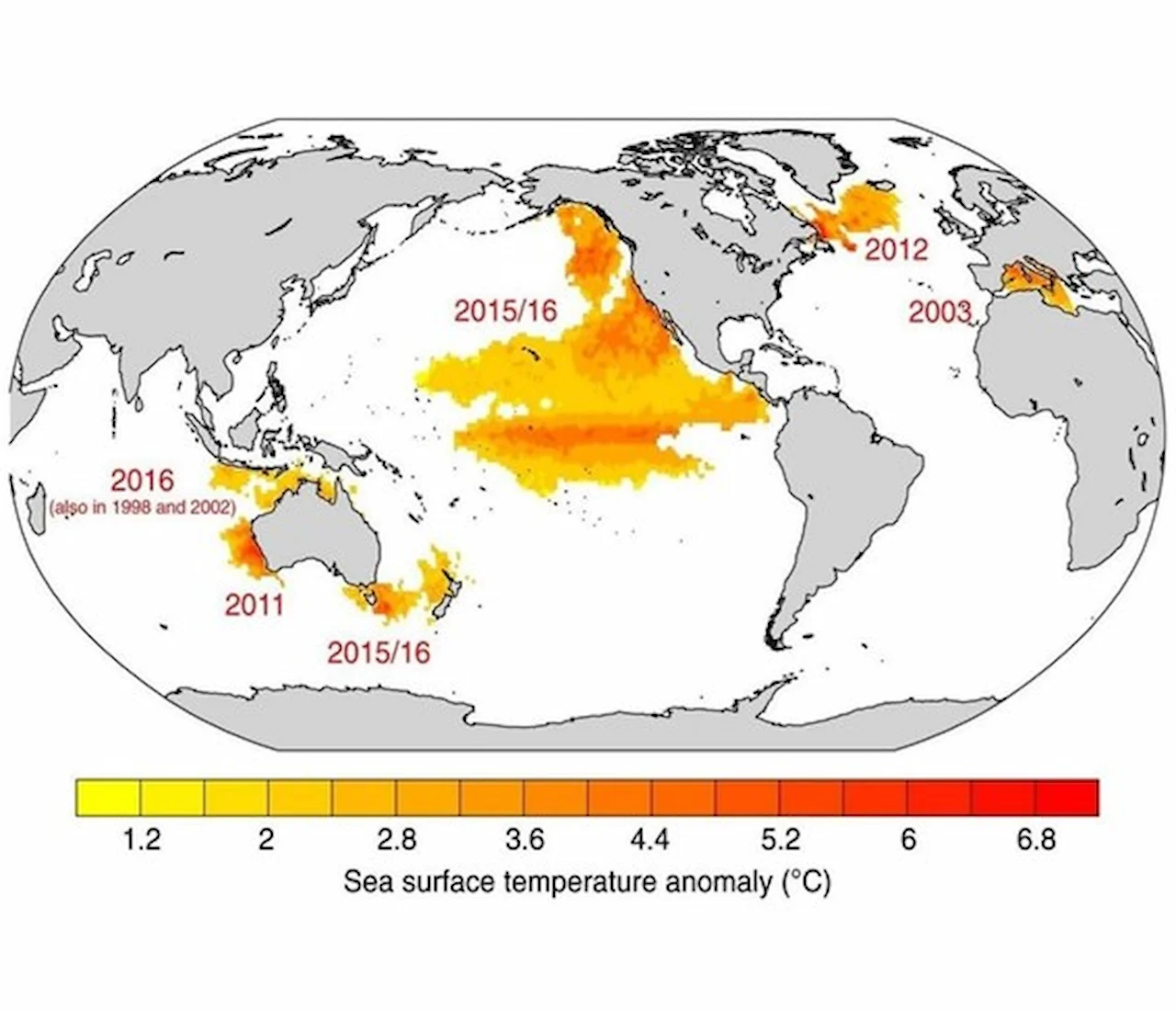 Las olas de calor marinas de las aguas españolas son desigüales / Imagen: EP