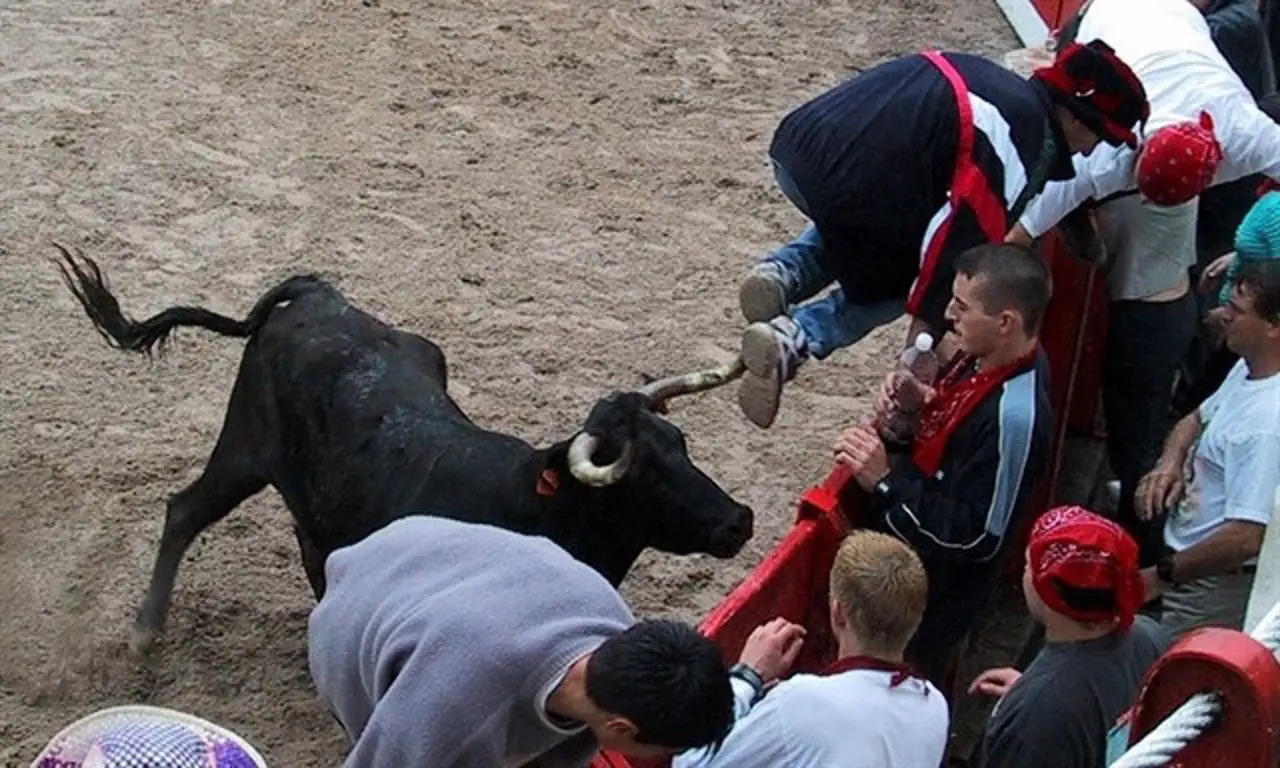 Banalización de la violencia contra animales en la entrada gratis de niños a un acto taurino / Foto: EP