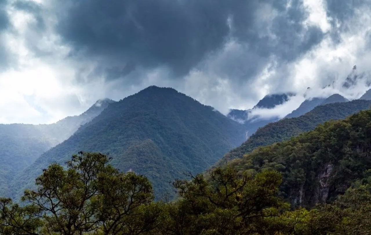 Si se cuenta el origen de la lluvia, el riesgo de escasez de agua crece. Bosque Nuboso Amazónico en Perú / Foto: Álvaro Bueno-Universidad de Estocolmo