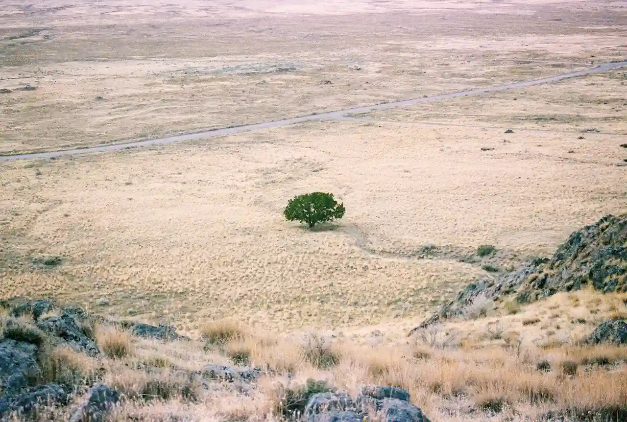 El clima en España será estepario o desértico en 2050 / Foto: PB