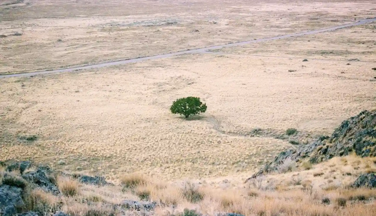 Climate in steppe Spain in 2050 due to climate change