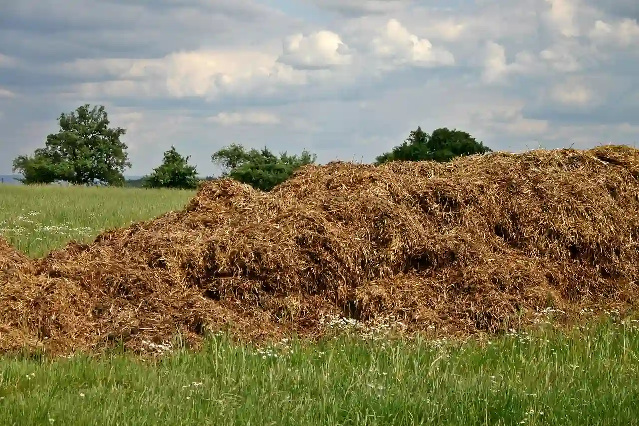 La capacidad del suelo para almacenar carbono, por el estércol / Foto: PB