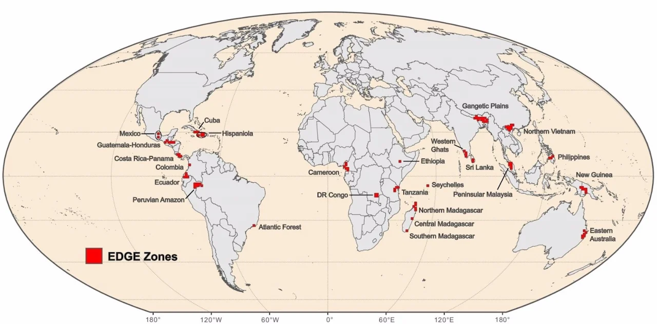 Mapa de zonas EDGE. Proteger un 0,7% de tierra ayudaría a salvar miles de especies únicas / Imagen: Sebastian Pipins