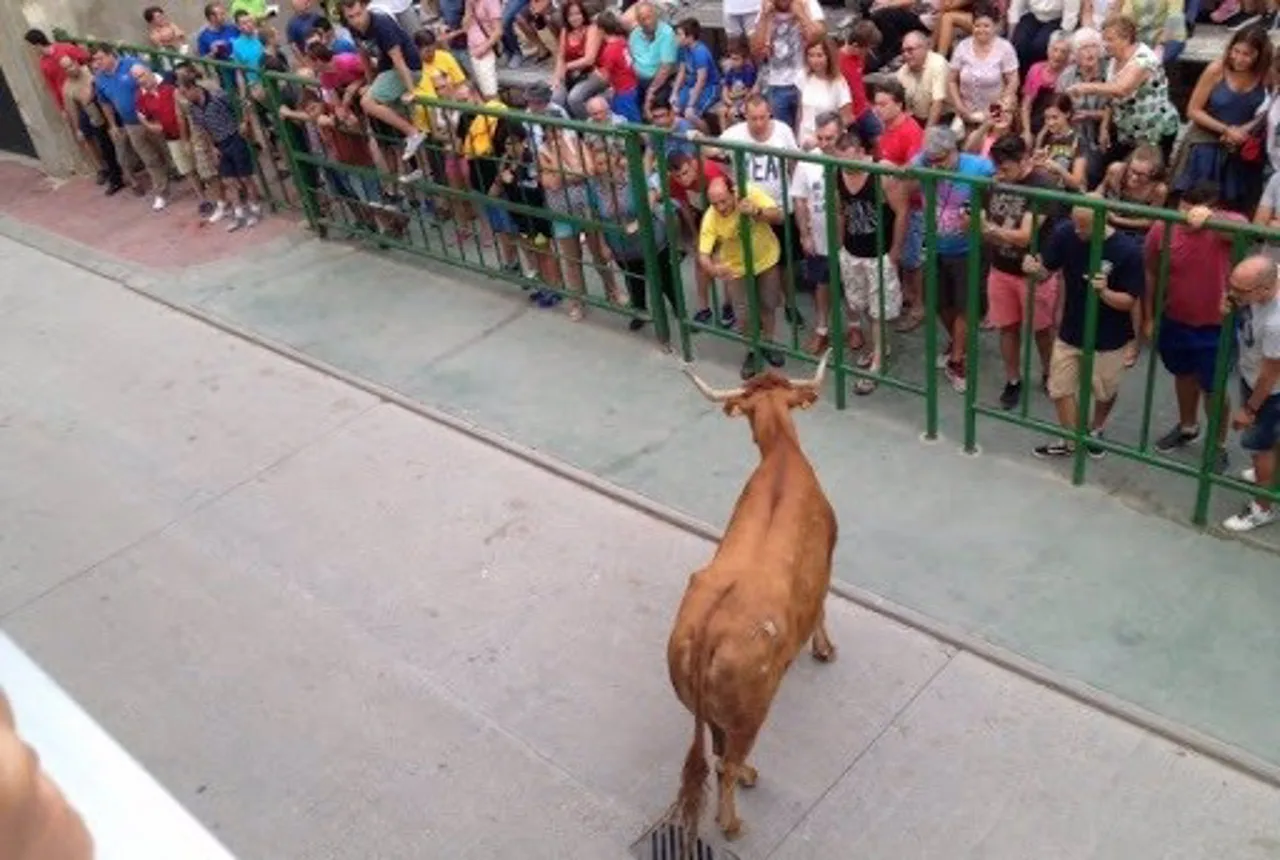 Rechazo a la vuelta de los festejos taurinos populares / Foto: EP