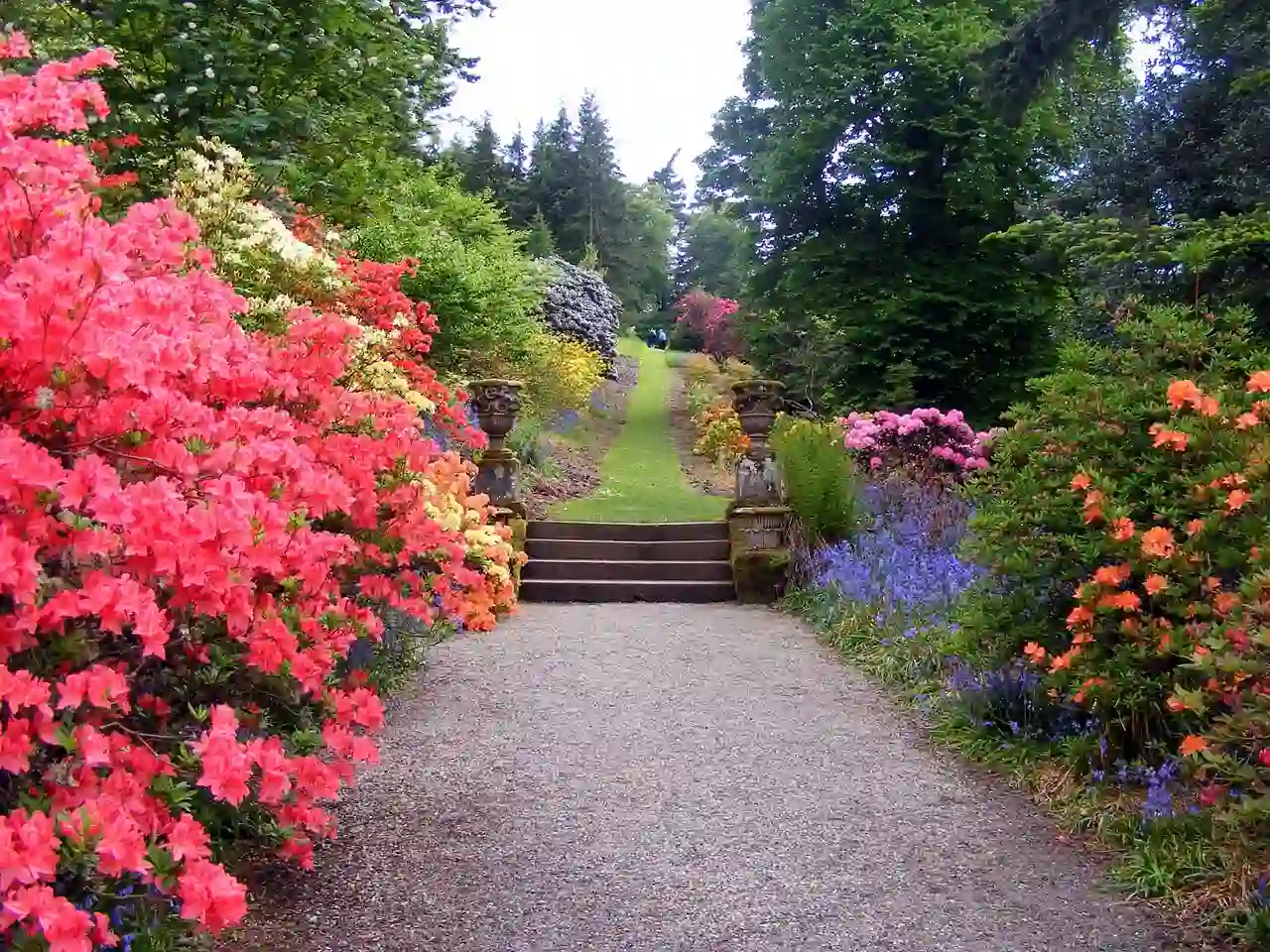 Los jardines aportan salud y forman parte esencial de nuestra conexión con la naturaleza / Foto: PB