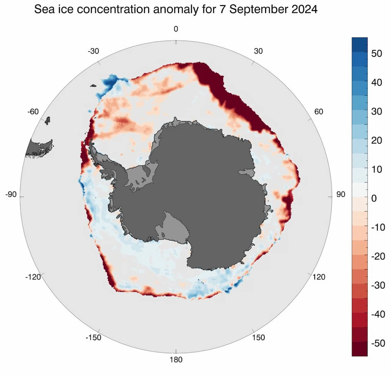 Mapa de anomalía de concentración de hielo marino / Imagen: AAPP