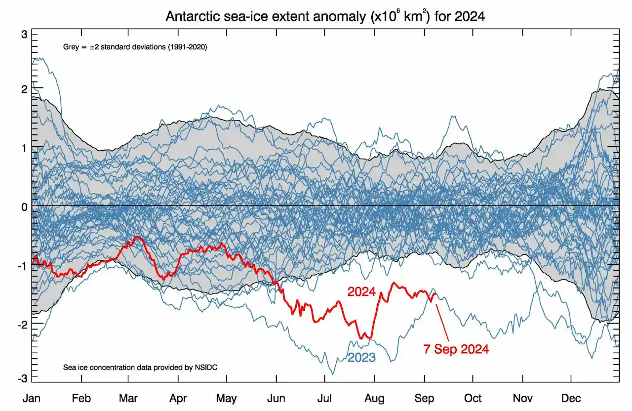 Anomalía en la extensión del hielo marino en la Antártida / Imagen: AAPP