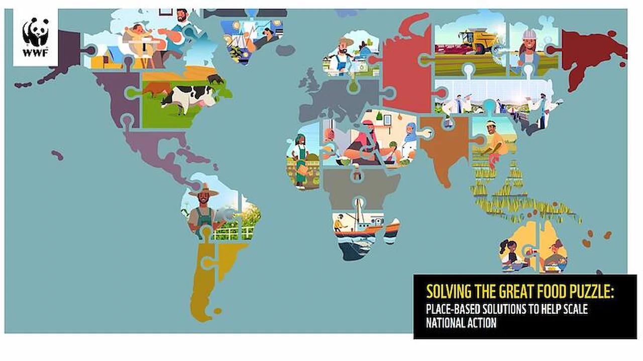 Países con mayor riesgo hídrico en la producción de alimentos / Imagen: WWF