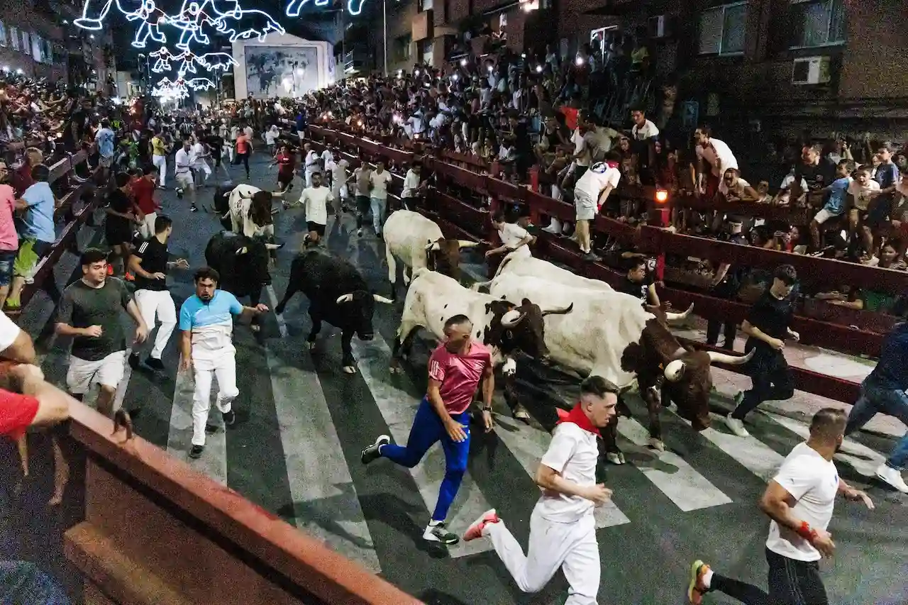 Festejo taurino, encierro nocturno en las fiestas de San Sebastián de los Reyes, a 26 de agosto de 2024, Madrid / Foto: EP